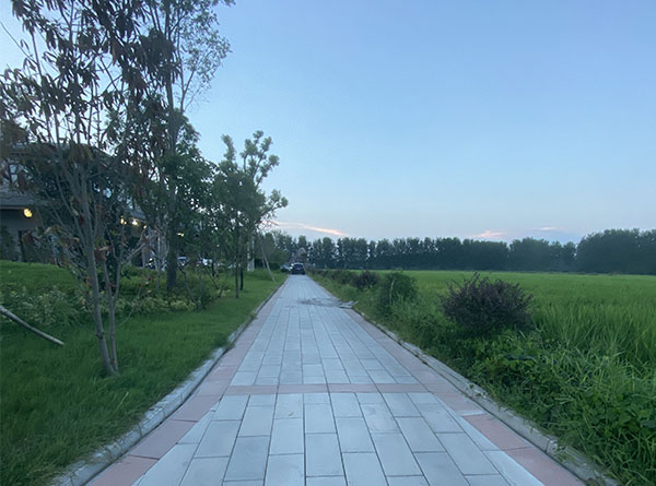 湖北仿石透水磚工程案例